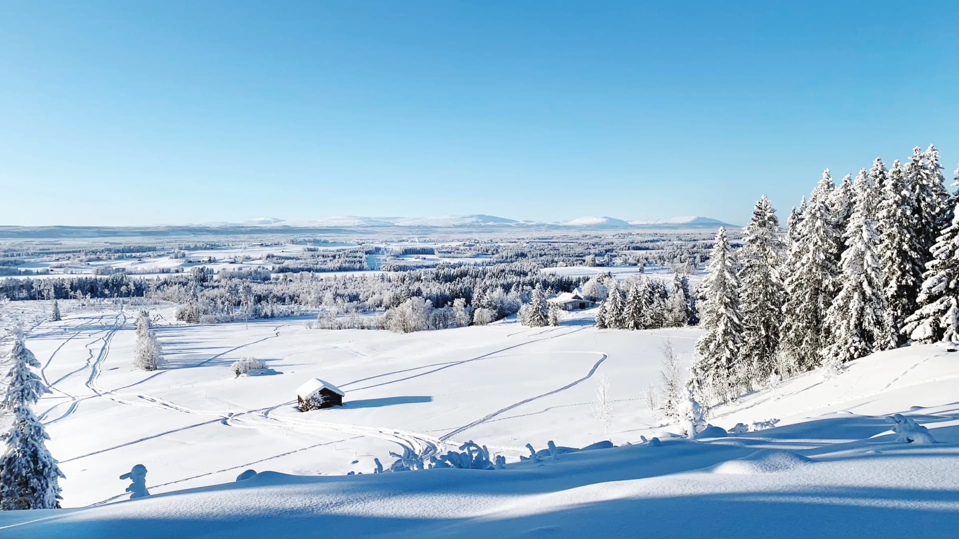 Vinterpanorama över Oviksfjällen